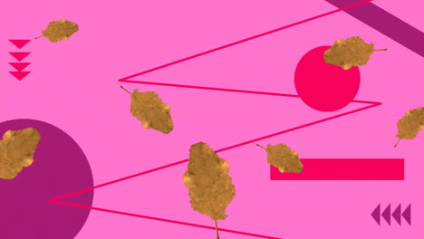 Animation-of-floating-leaves-and-shapes-on-pink-background