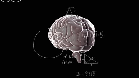 Animación-Del-Cerebro-Humano-Y-Procesamiento-De-Datos-Matemáticos-Sobre-Fondo-Negro