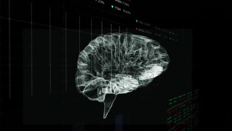 Animation-Der-Finanzdatenverarbeitung-über-Das-Menschliche-Gehirn