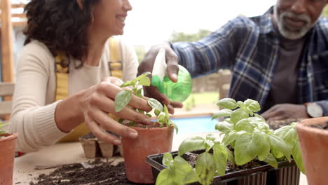 Happy-diverse-mature-couple-potting-and-watering-plants-on-garden-terrace,-slow-motion