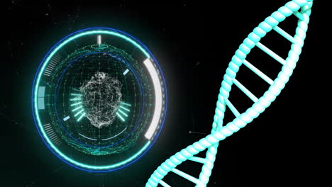 Animation-Des-Spinnens-Eines-DNA-Strangs-Mit-Datenverarbeitung-Auf-Schwarzem-Hintergrund