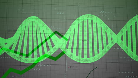 Animation-Des-DNA-Strangs-über-Die-Datenverarbeitung