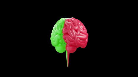 Animation-Des-Grünen-Und-Roten-Menschlichen-Gehirns,-Das-Sich-Auf-Schwarzem-Hintergrund-Dreht
