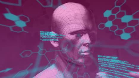 Animation-of-human-bust-and-scientific-data-processing