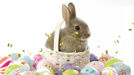 Animation-of-confetti-falling-over-rabbit-in-basket-and-easter-eggs-on-white-background
