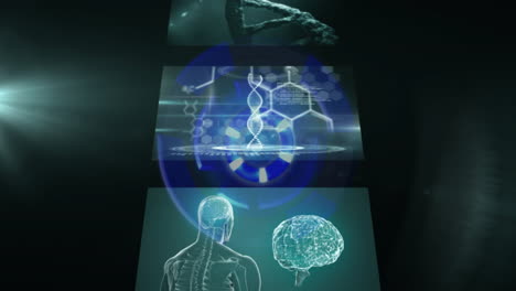 Animation-Der-Wissenschaftlichen-Datenverarbeitung,-Des-DNA-Strangs-Und-Des-Menschlichen-Gehirns-über-Bildschirmen-Auf-Dunklem-Hintergrund