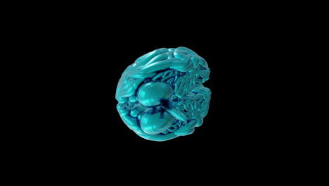 Animation-Des-Blauen-Menschlichen-Gehirns,-Das-Sich-Auf-Schwarzem-Hintergrund-Dreht