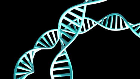 Animation-of-dna-strands-spinning-with-copy-space-over-black-background