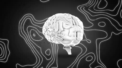 Animation-of-human-brain-and-mathematical-equations-over-lines-on-grey-background