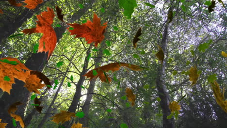 Animation-Von-Grünen-Und-Orangefarbenen-Blättern,-Die-über-Bäume-Im-Wald-Wehen