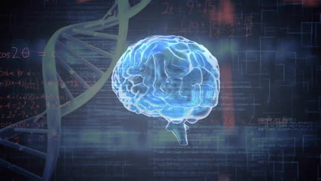 Animation-of-glowing-brain-over-dna-and-processing-data