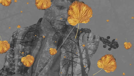 Animation-Von-Orangefarbenen-Blättern,-Die-über-Einen-Kaukasischen-Mann-Fallen,-Der-Auf-Grauem-Hintergrund-Geige-Spielt