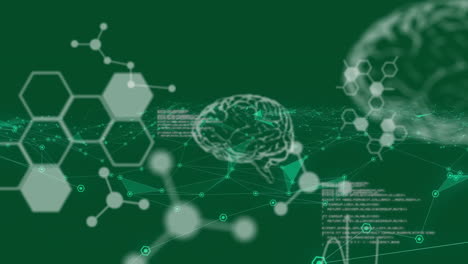 Animation-of-scientific-data-processing-and-human-brains-over-connections-on-green-background