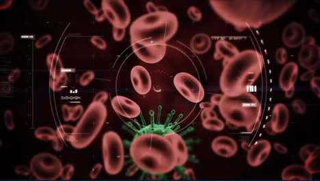 Animación-De-Células-Del-Virus-Covid-Y-Procesamiento-De-Datos-Sobre-Glóbulos-Rojos