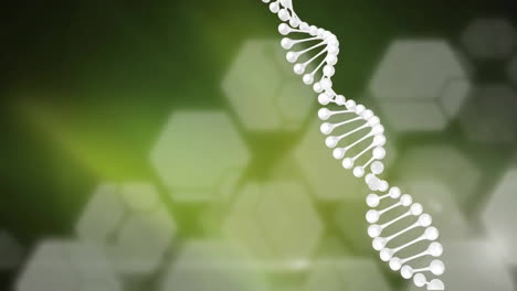 Animation-of-dna-strand-over-hexagons-on-green-background
