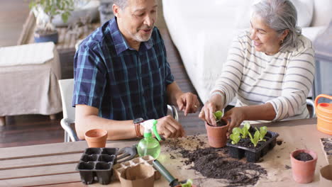Happy-diverse-senior-couple-sitting-at-table-and-planting-plants-to-pots-on-porch