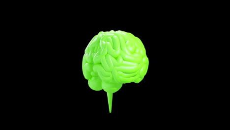 Animation-Des-Grünen-Menschlichen-Gehirns,-Das-Sich-Auf-Schwarzem-Hintergrund-Dreht