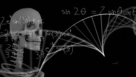 Animation-of-skeleton-over-dna-and-mathematical-equations-on-black-background