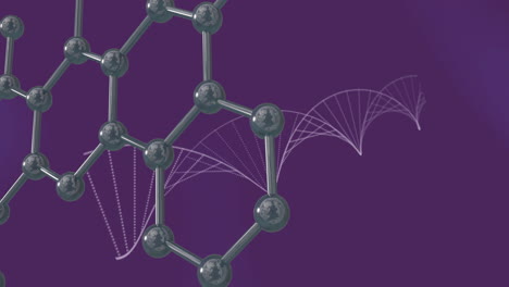 Animation-of-floating-molecules-over-dna-chains-on-purple-background