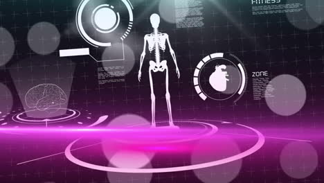 Animation-Der-Datenverarbeitung-Und-Des-Menschlichen-Skeletts-Beim-Scannen