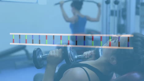 Animation-of-dna-strand-over-diverse-women-lifting-dumbbells-on-gym
