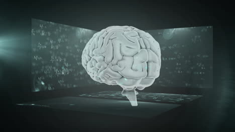 Animation-Des-Menschlichen-Gehirns-Mit-Mathematischen-Gleichungen-Auf-Abstraktem-Hintergrund