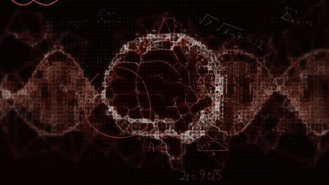 Animation-Der-Mathematischen-Datenverarbeitung-über-Dem-Menschlichen-Gehirn-Auf-Schwarzem-Hintergrund