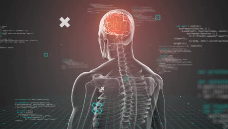 Animation-Des-Menschlichen-Gehirns-Mit-Körper-Und-Datenverarbeitung-Auf-Dunklem-Hintergrund
