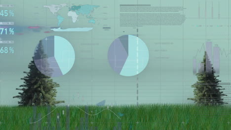 Animation-Der-Verarbeitung-Finanzieller-Daten-über-Bäumen-Und-Gras