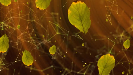 Animation-of-green-leaves-falling-over-orange-light-and-network-of-connections