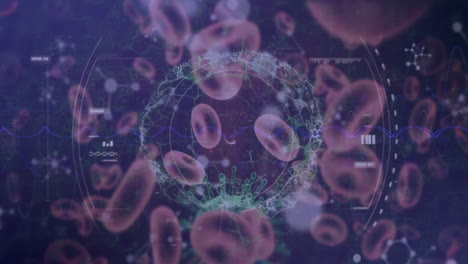 Animation-Von-Viren,-Blutzellen,-Kreisen,-Menschlichen-Gehirnen-Mit-Nukleotiden-Vor-Abstraktem-Hintergrund