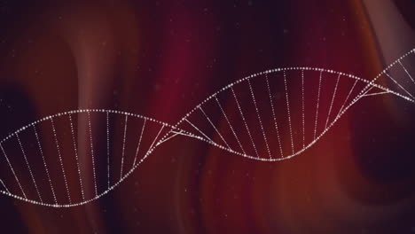 Animation-Eines-Weißen-DNA-Strangs-über-Lichtspuren-Auf-Dunklem-Hintergrund