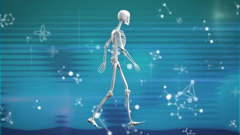 Animation-of-walking-skeleton-and-shapes-on-gray-background