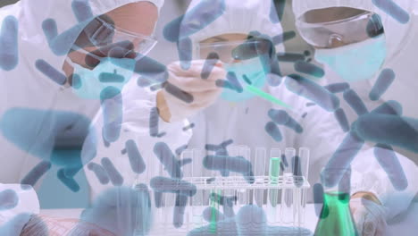 Animation-Von-Viruszellen-über-Verschiedenen-Männlichen-Und-Weiblichen-Wissenschaftlern,-Die-Im-Labor-Arbeiten