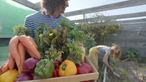 Happy-diverse-couple-holding-basket-of-fresh-vegetables-and-working-in-garden,-slow-motion