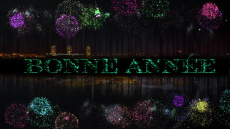 Animation-of-bonne-annee-text-and-fireworks-exploding-on-black-background