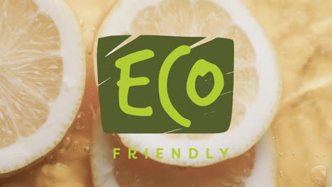Animation-of-eco-friendly-text-over-slices-of-lemon-falling-in-water-background