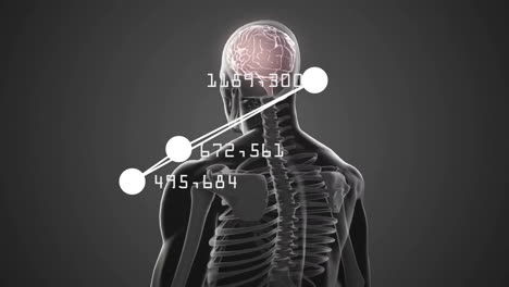 Animation-of-human-brain-and-body-with-mathematical-data-processing-on-grey-background