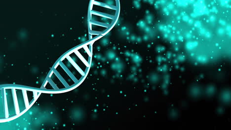 Animation-Von-Sich-Drehenden-DNA-Strängen-Mit-Leuchtenden-Lichtpunkten-Auf-Schwarzem-Hintergrund