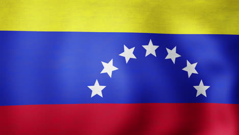 Animation-Der-Wehenden-Flagge-Von-Venezuela