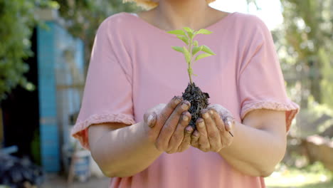 Senior-biracial-woman-holding-dirt-with-plant-in-hands-in-sunny-garden-at-home,-slow-motion