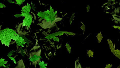 Animation-of-green-leaves-on-black-background