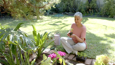 Happy-senior-biracial-woman-planting-plant-in-sunny-garden-at-home,-slow-motion