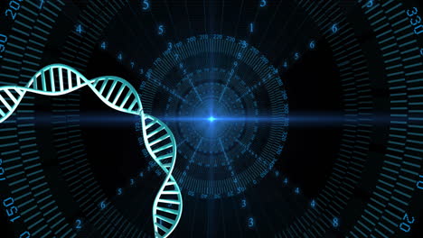 Animation-of-dna-strand-spinning-with-data-processing-over-black-background