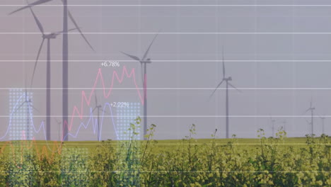 Animation-Von-Diagrammen-Und-Datenverarbeitung-über-Einem-Feld-Mit-Windkraftanlagen