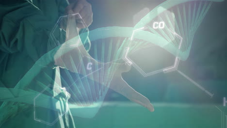Animation-of-dna-strand-and-data-processing-over-male-surgeon-putting-gloves-on-in-hospital