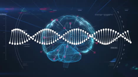 Animation-of-data-processing-over-human-brain-and-dna-strand-on-dark-background