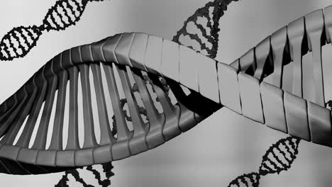 Animation-Von-DNA-Strängen,-Die-Sich-Auf-Grauem-Hintergrund-Drehen