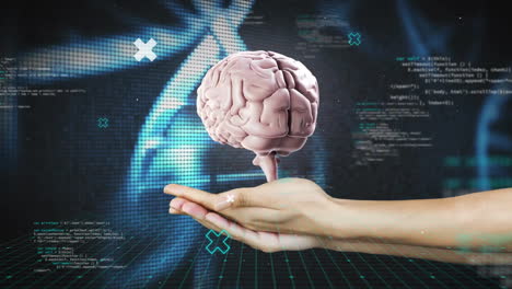 Animation-of-human-brain-with-woman's-hand,-dna-and-data-processing-over-dark-background