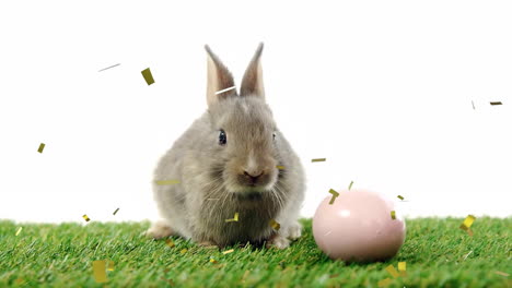 Animation-Von-Konfetti,-Das-über-Ein-Kaninchen-Mit-Ei-Auf-Weißem-Hintergrund-Fällt